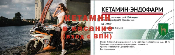 спиды Богданович