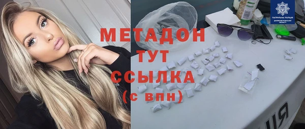прущие грибы Богородицк