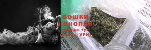 спиды Богданович
