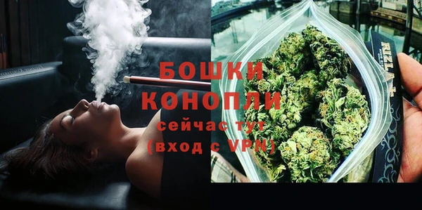 спиды Богданович