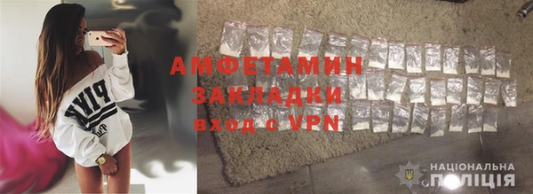 прущие грибы Богородицк
